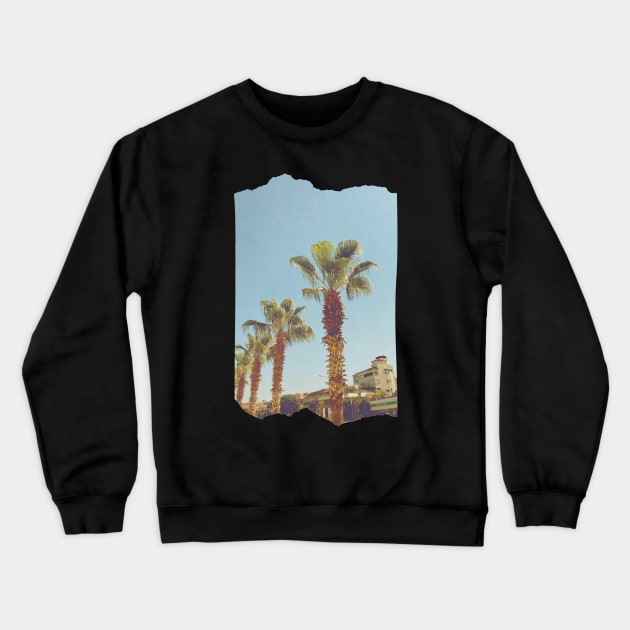 Pretty picture of a Palm Tree. Pretty Palm Trees Photography design with blue sky Crewneck Sweatshirt by BoogieCreates